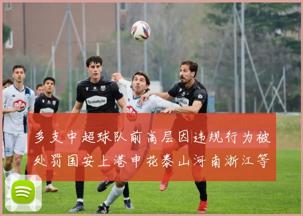 多支中超球队前高层因违规行为被处罚国安上港申花泰山河南浙江等队受影响